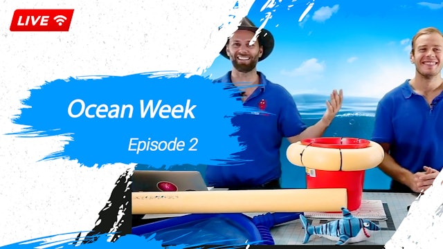 Ocean Week Episode 2
