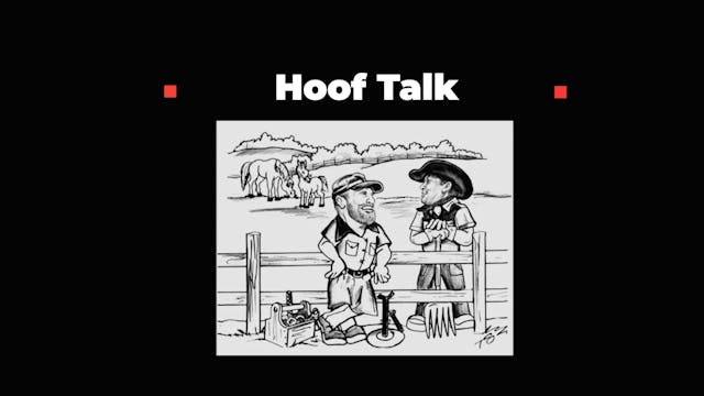 HoofTalkTheBalancedHorse