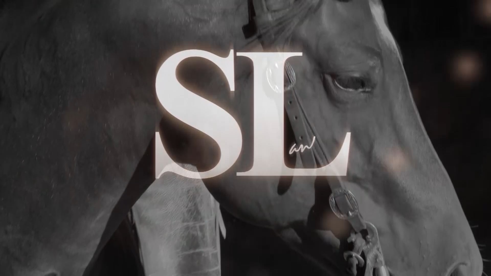 3010_Back to the back