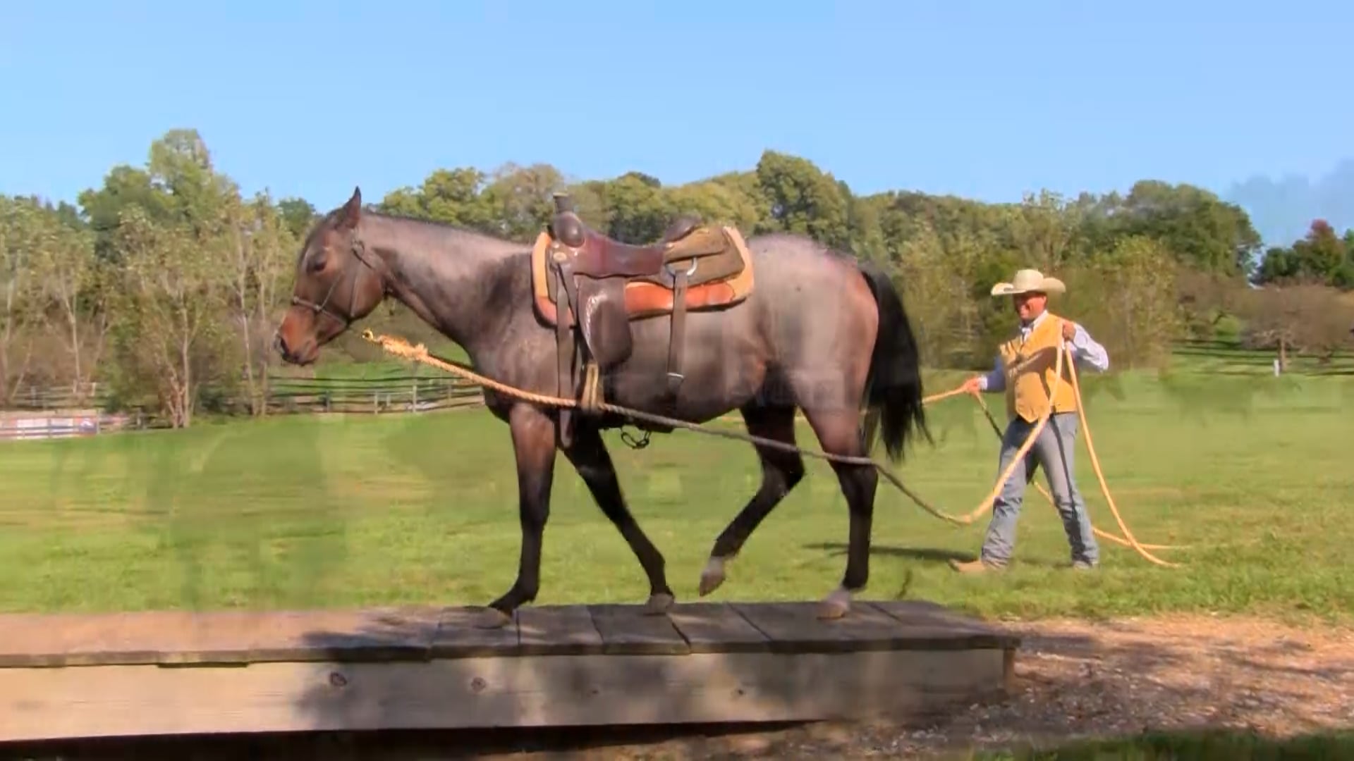 3203_IndoorArenaWarmupExercises