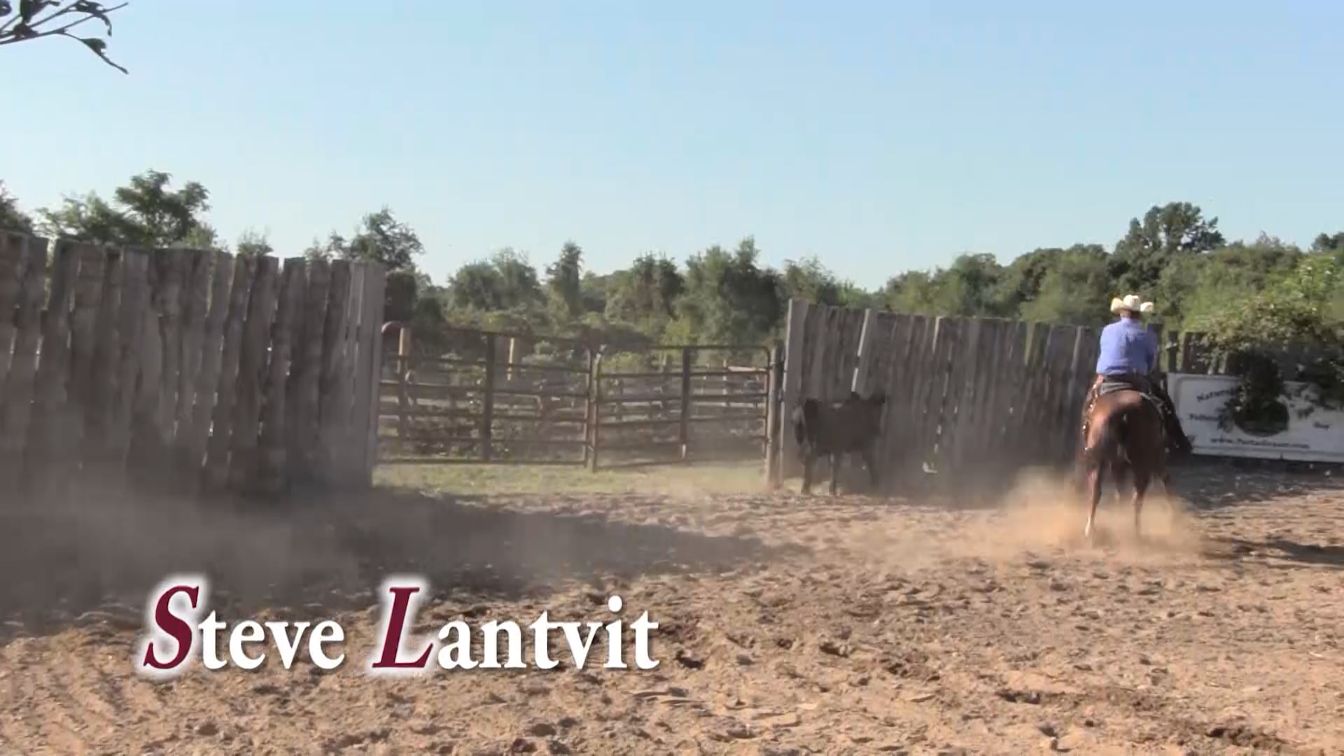 3407_Preparing your young horse for the farrier