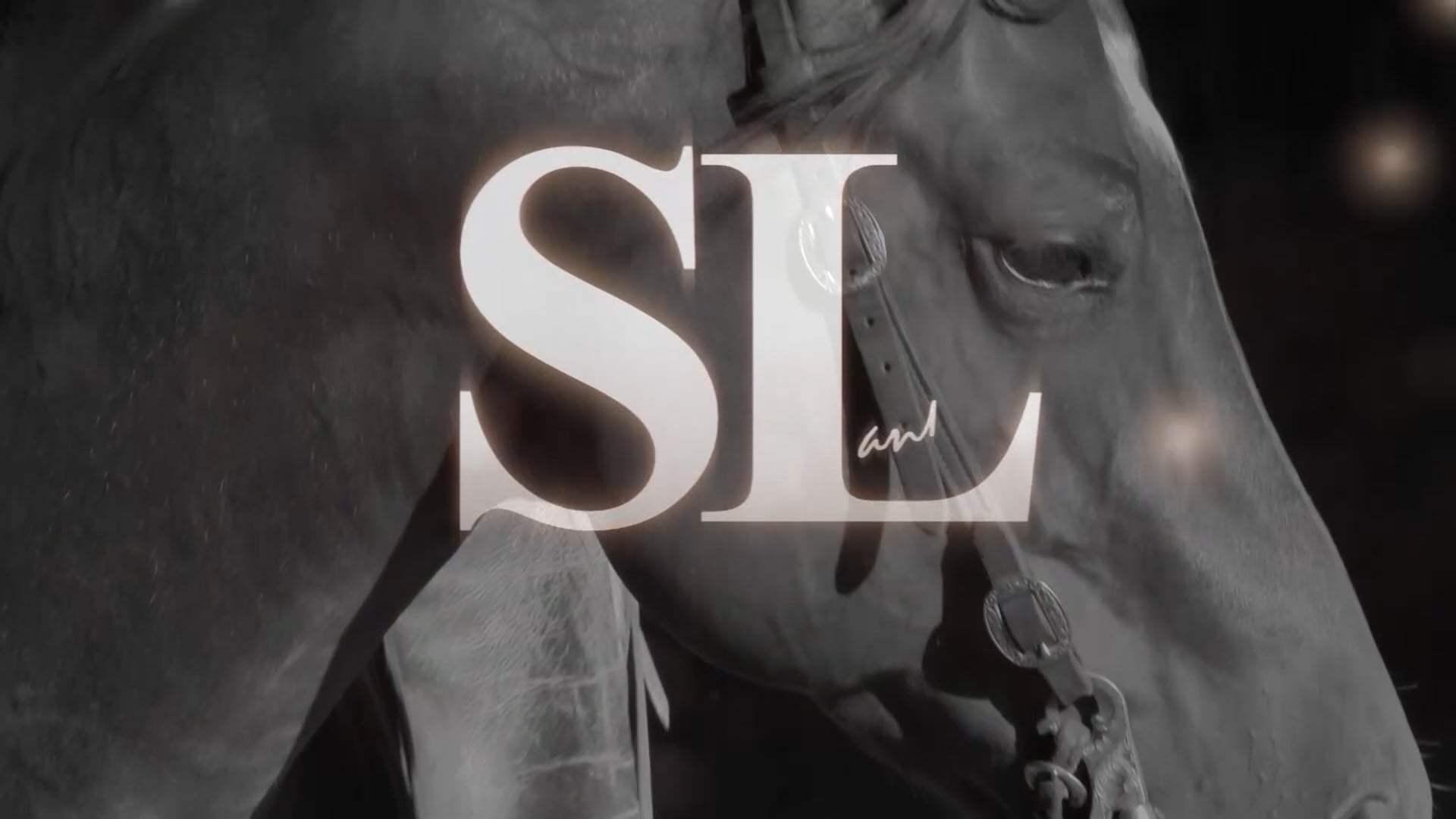 3103_Broke in the belly