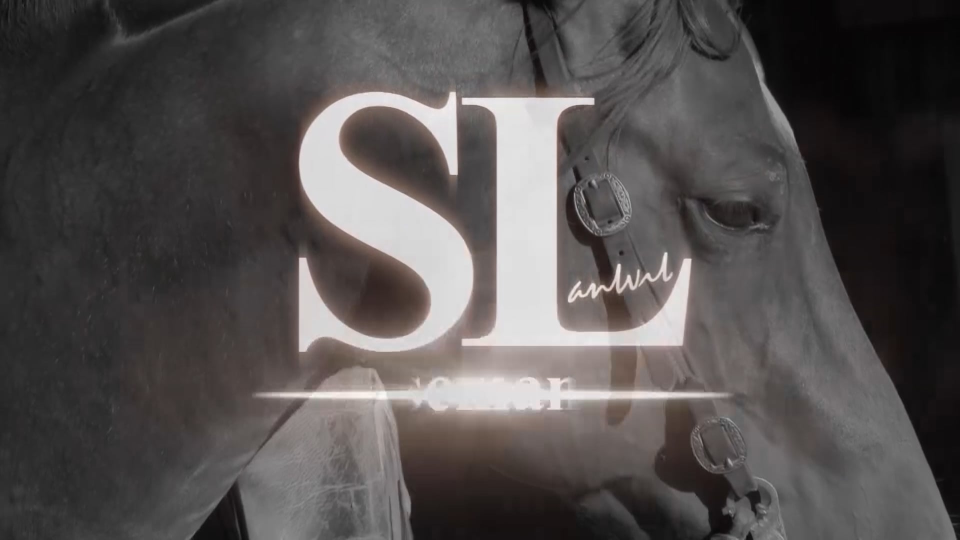 3110_The purpose of the counter canter