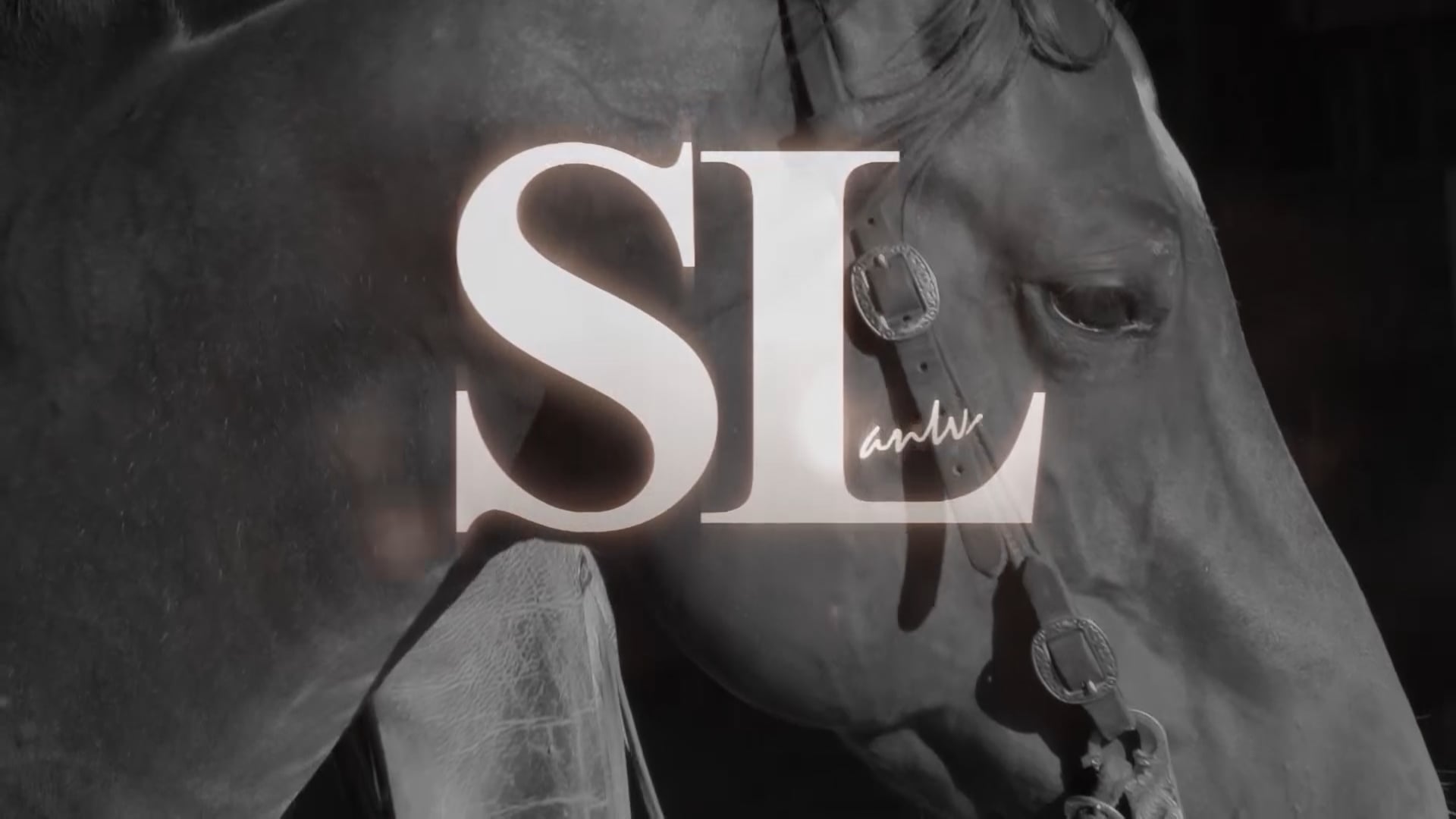 3204_LiftingTheHorseInTheBridle