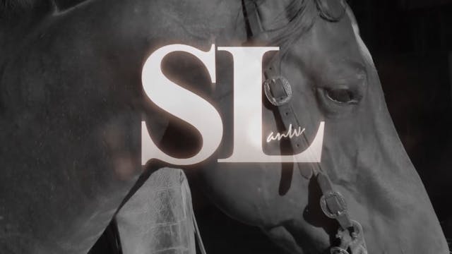 3204_LiftingTheHorseInTheBridle