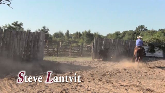 2108_Getting a horse to soften into y...