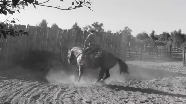 2107_Controllingahorseship