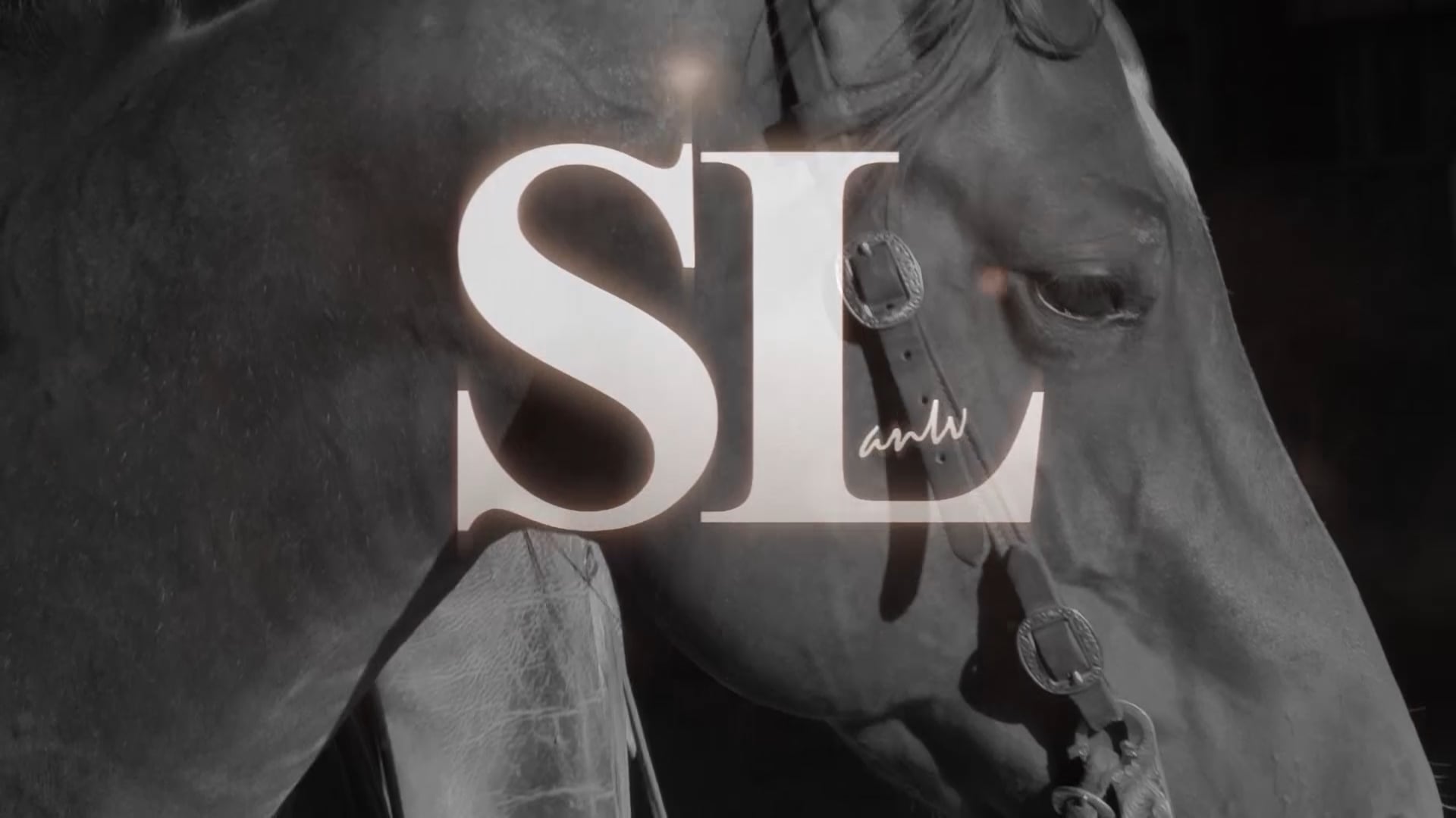 3201_Groundwork with a yearling filly part 1 of 2