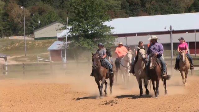 2411_KeepingYourHorseSoft