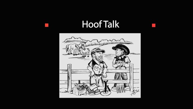 HoofTalkHoofCracks