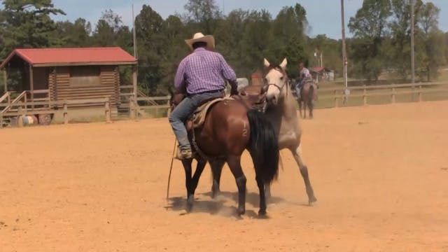 2512_StrengtheningAHorsesTopline