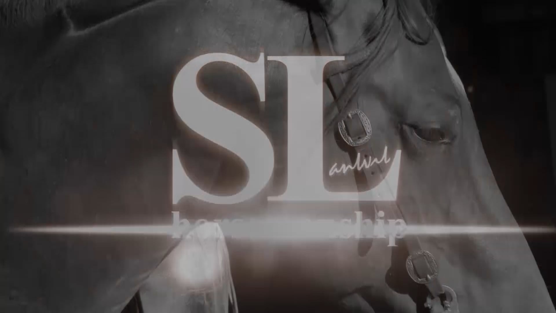 3113_Teaching a weanling to stand tied