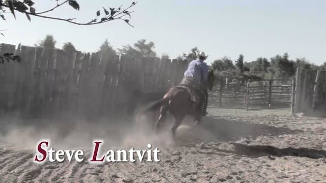 2508_The Direct And Indirect Rein