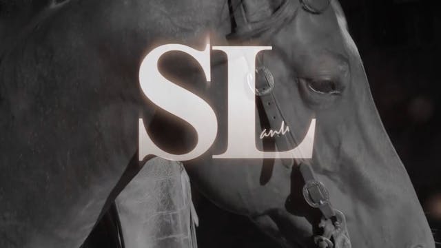 1713_Giving your horse a job