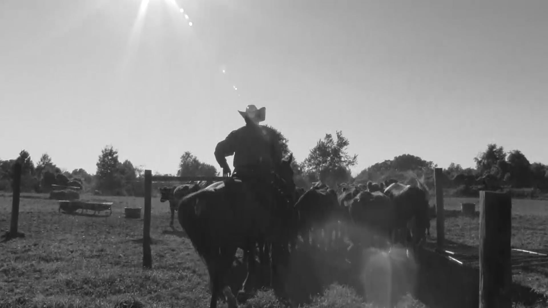 3102_Riding with a draped rein