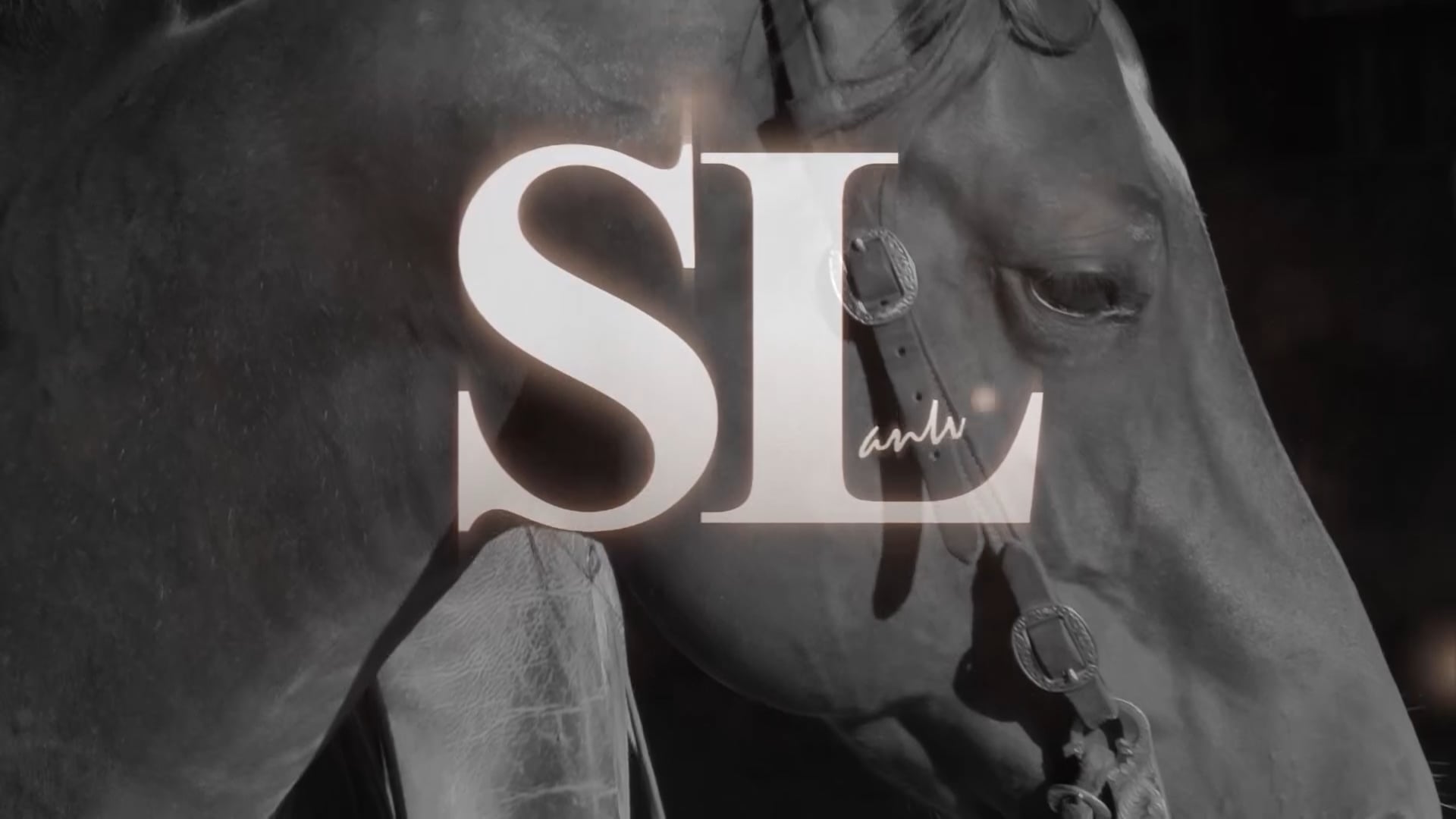 3104_Promoting self carriage