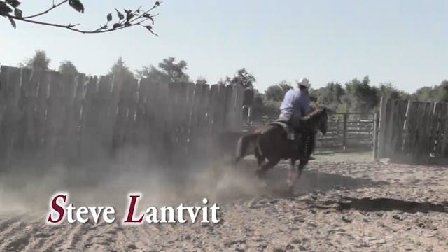 1811_introducingayounghorsetocattle p...