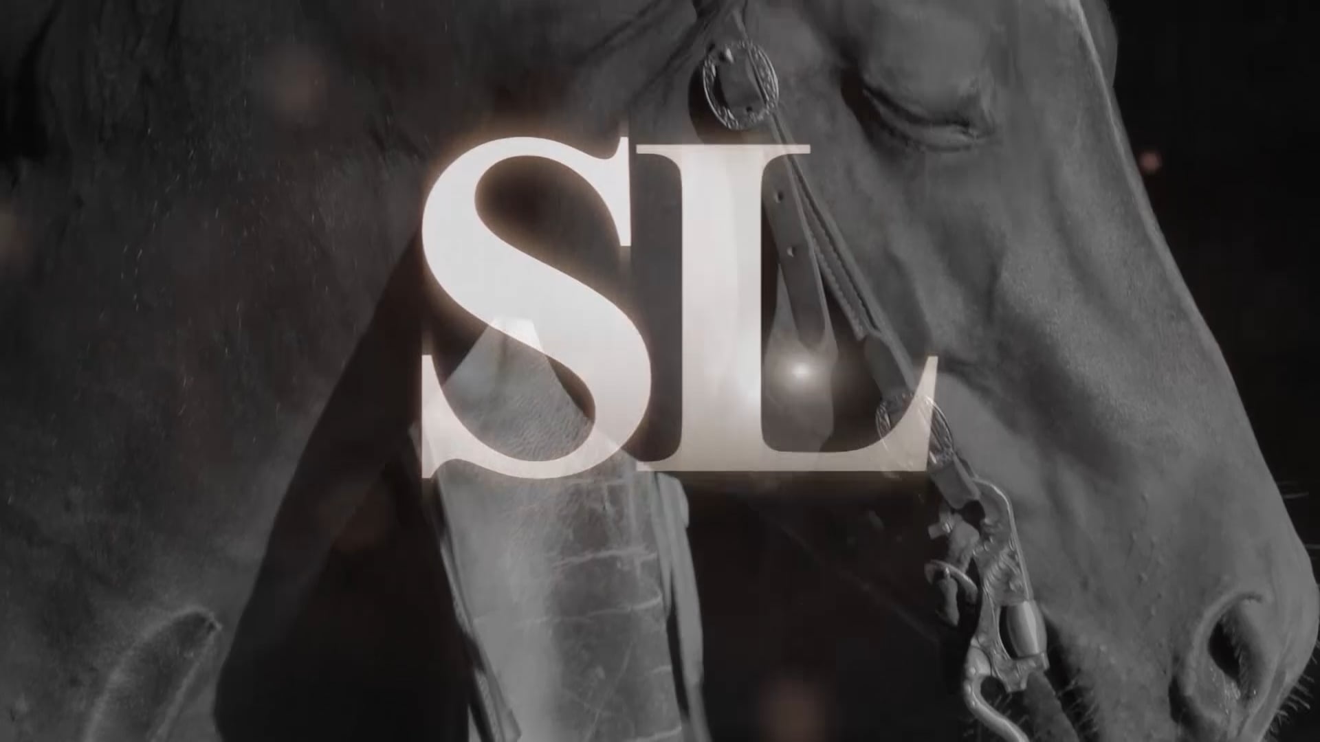 3207_establishing softness in a young horse