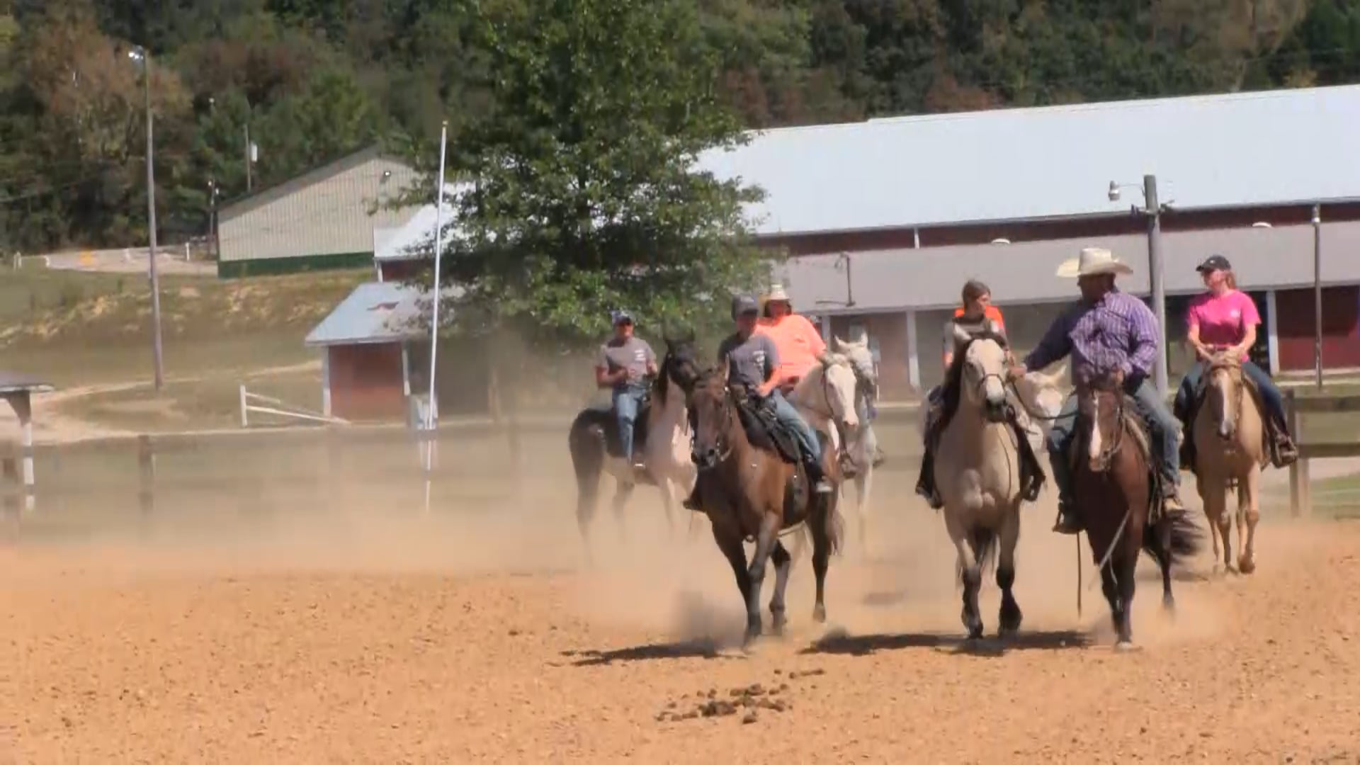 3202_Groundwork with a yearling filly part 2 of 2