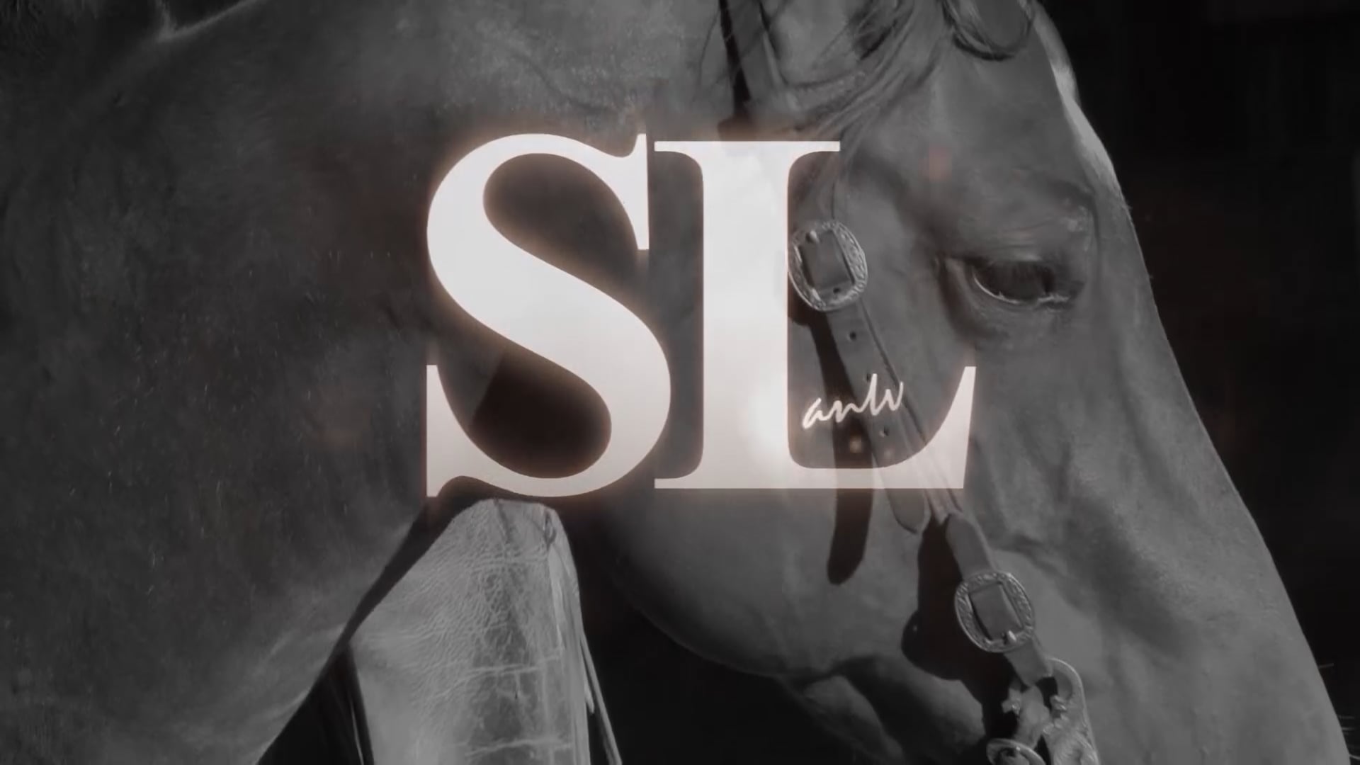 3408_Teaching A Horse to Stand By The Mounting Block