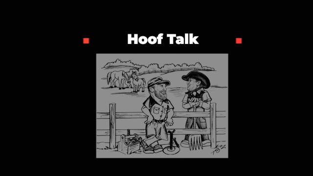 HoofTalkHoofContactWithGround