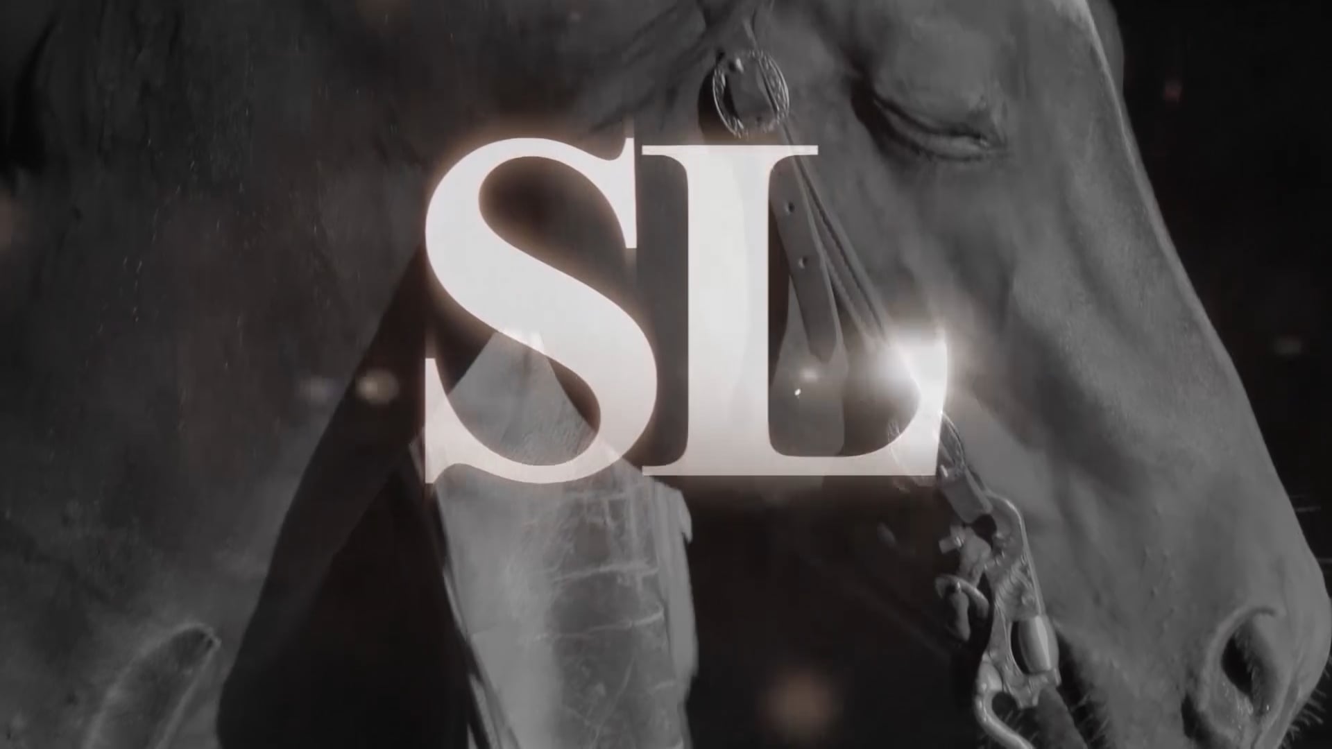 3403_BeginningFlagWorkOnAYoungHorse