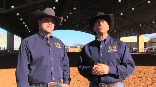 EquinetySeniorHorses