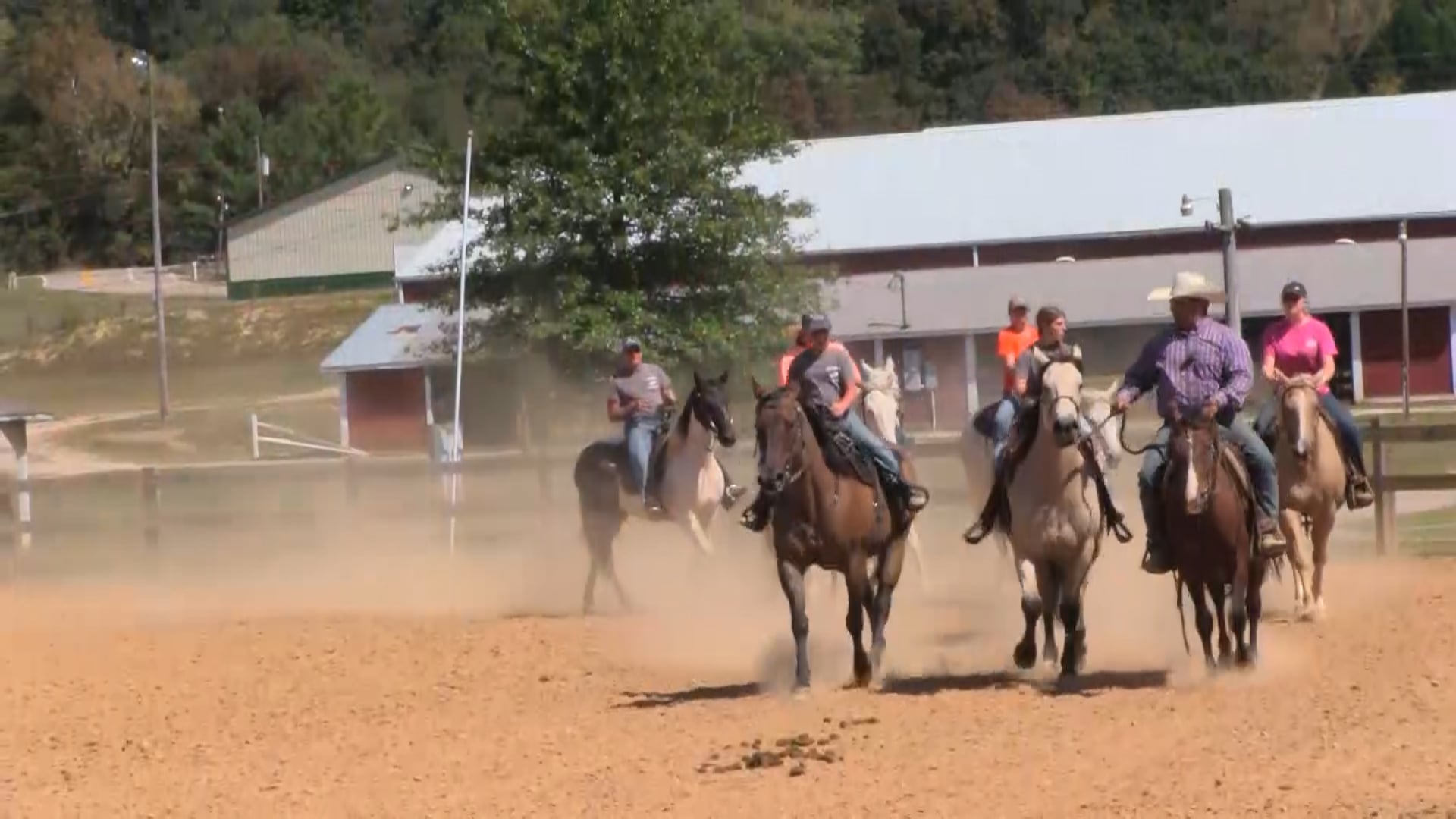 3205_Schooling in the hackamore