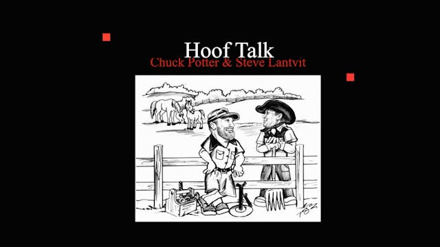 HoofTalkWhyshoeyourhorse