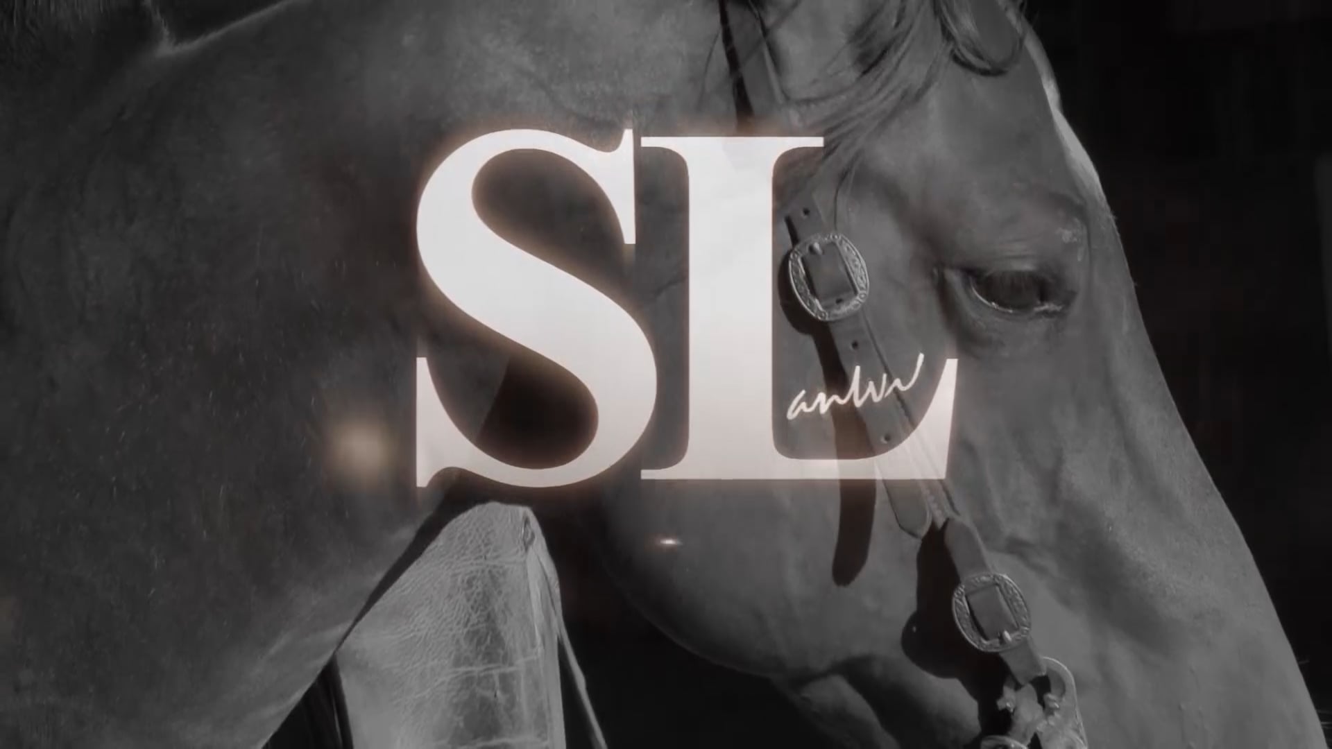 3101_Young horse body control part 2 of 2