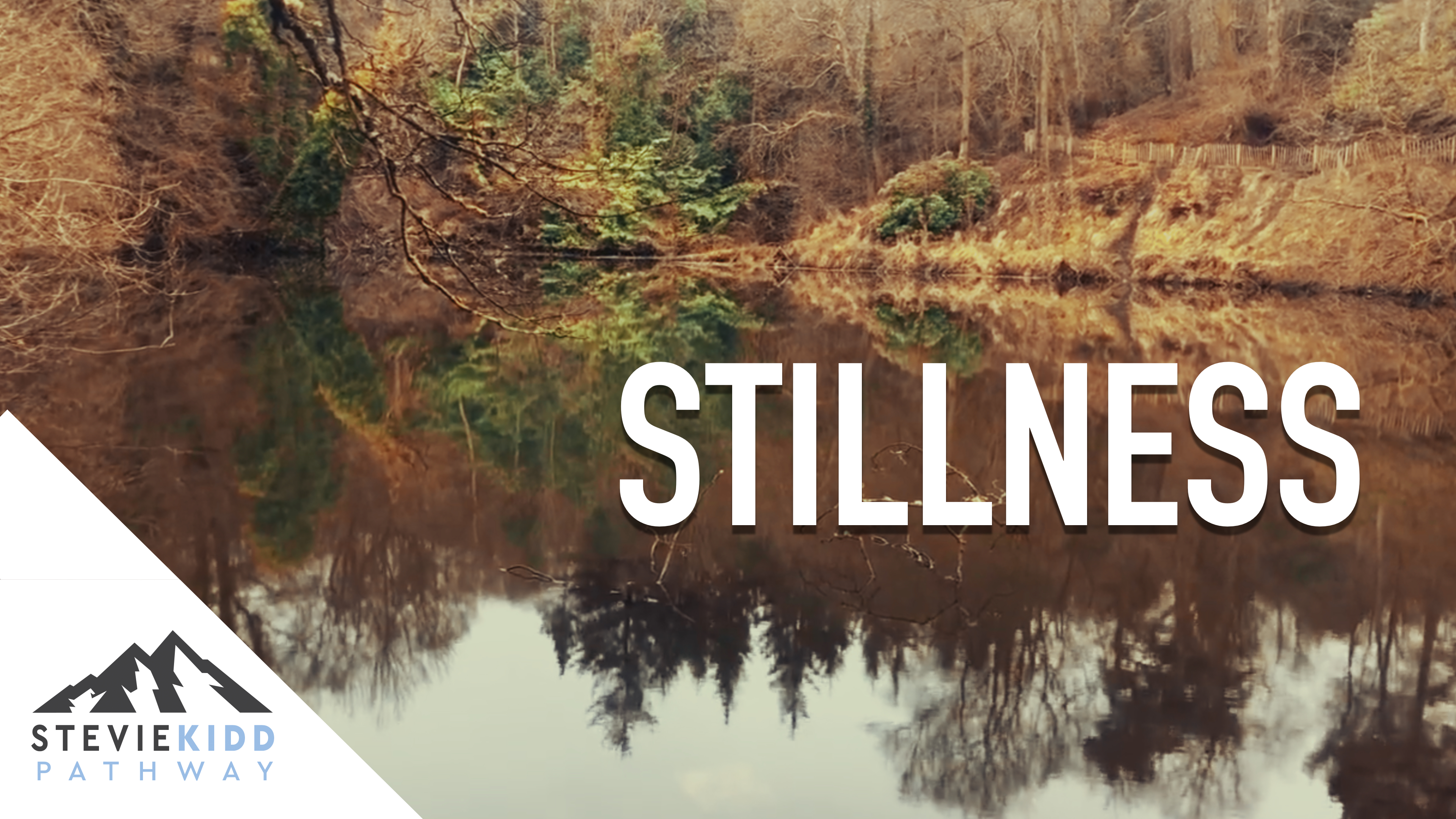 Stillness - Connect and Become One with Nature