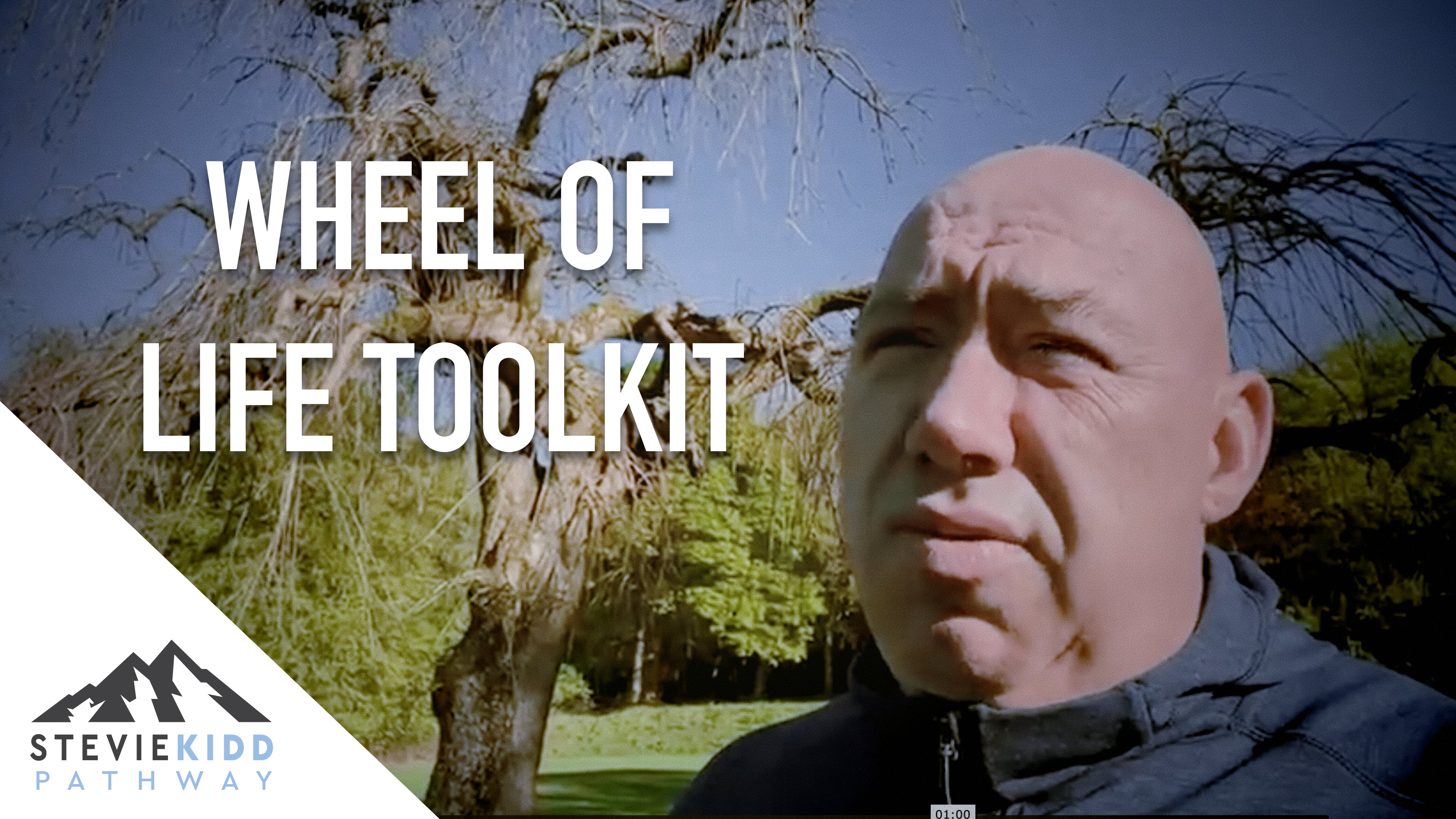 The Life Wheel | What I Do