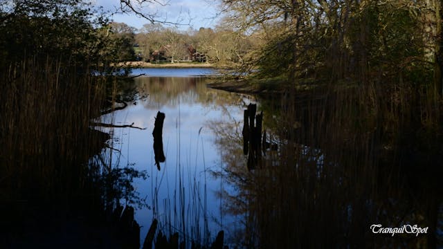 Beaulieu 2 - United Kingdom