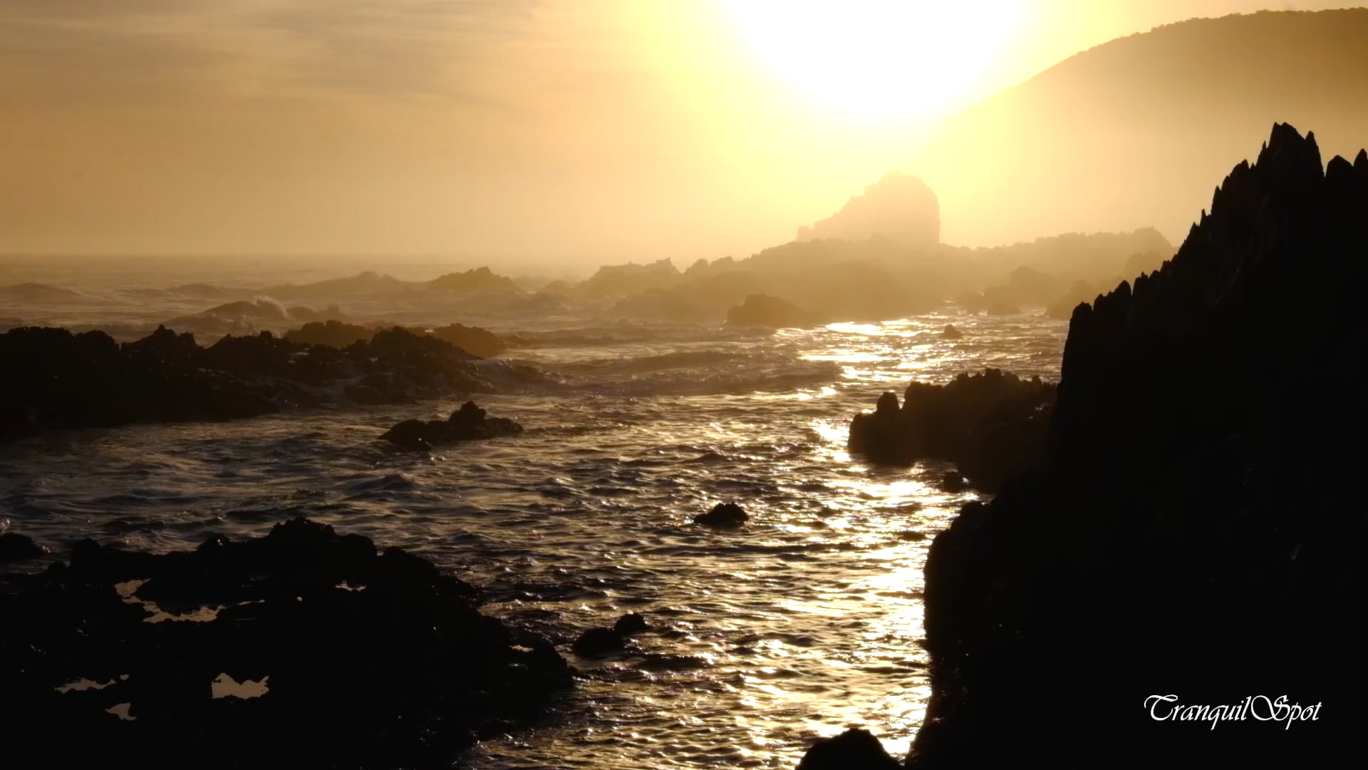 Tsitsikamma 2 - South Africa