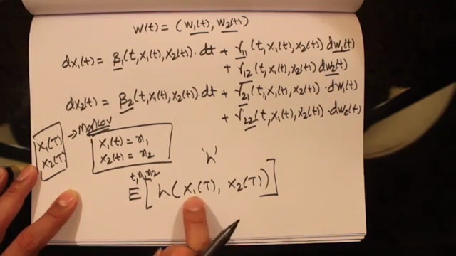220(d) - PDE- Multi-dimensional Feynman-Kac