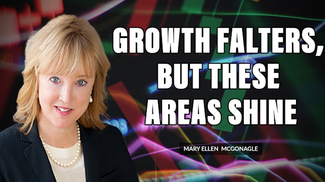 Growth Falters, But These Areas Shine | Mary Ellen McGonagle (12.09)