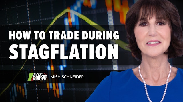 How To Trade During Stagflation  | Mish Schneider (01.21)
