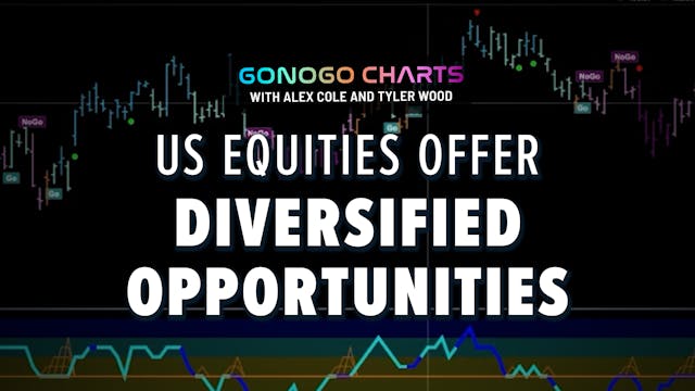 Diversified Opportunities in US Equit...