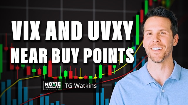 VIX and UVXY Near Buy Points | TG Watkins | Moxie Indicator Minutes (11.18)