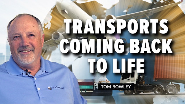 Transports Coming Back to Life | Tom Bowley (11.08)