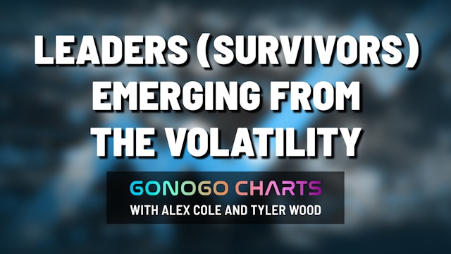 Leaders (Survivors) Emerging From The Volatility | GoNoGo Charts (02.03)