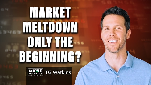 Is This Market Meltdown Only the Beginning? | TG Watkins (05.06)