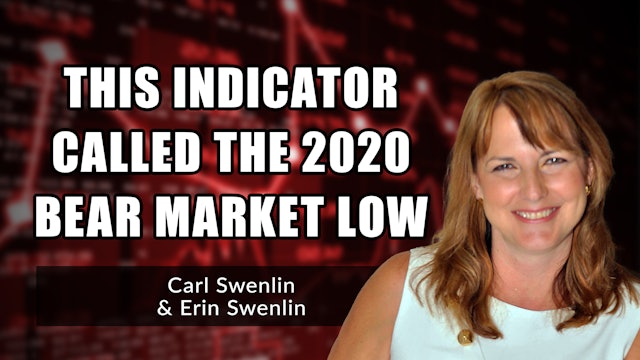 This Indicator Called the 2020 Bear Market Low | Carl & Erin Swenlin (02.14)