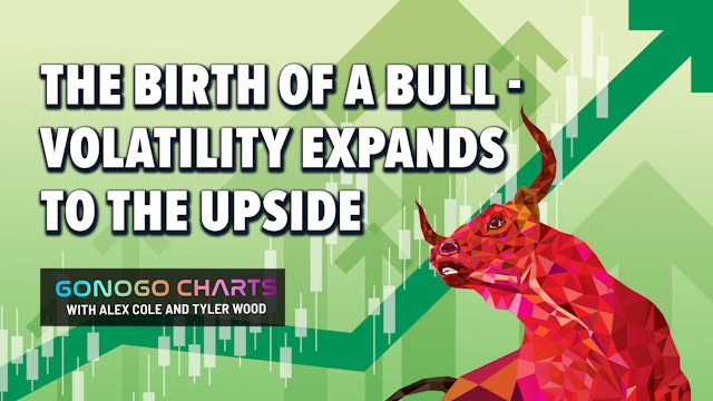 The Birth of a Bull - Volatility Expands to the Upside | GoNoGo Charts (11.10)