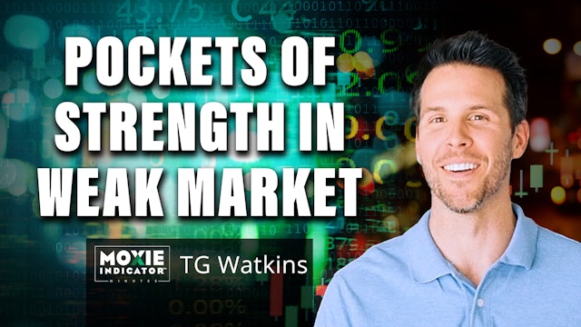 Market Weak Overall, Some Pockets of Strength | TG Watkins  (04.15)