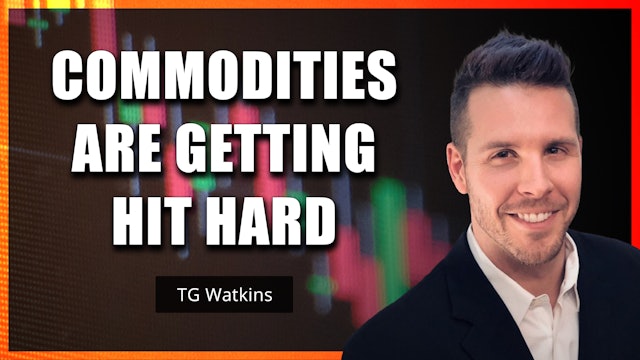 Commodities Are Getting Hit Hard | TG Watkins (06.24)