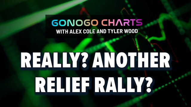  Really? Another Relief Rally? | GoNoGo Charts (11.03)