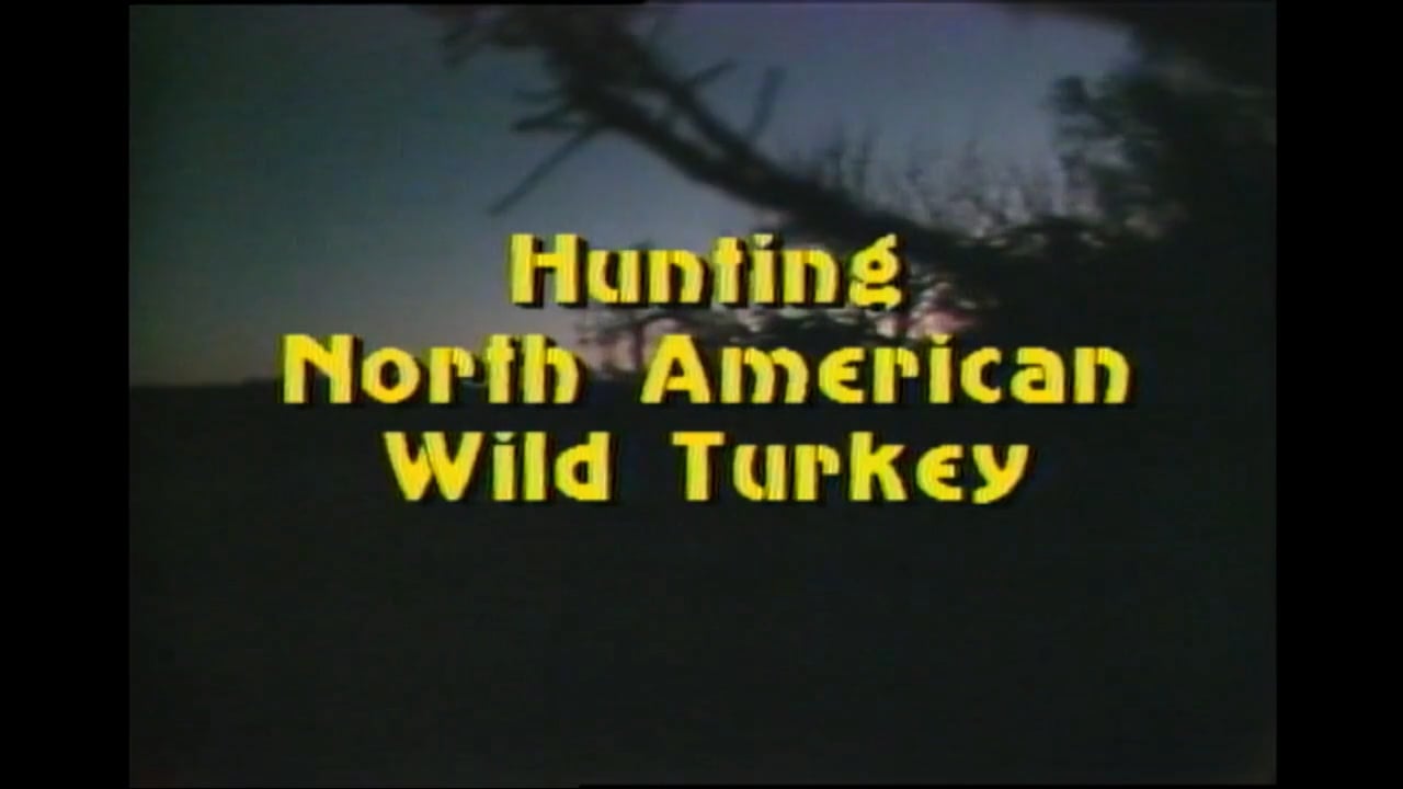 Hunting North American Wild Turkey