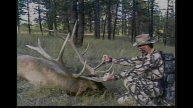 Bull Mountain Legacy