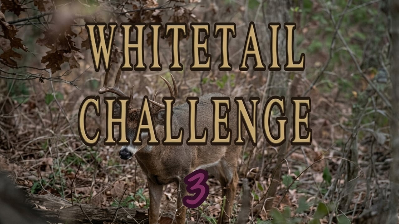 Whitetail Challenge 3